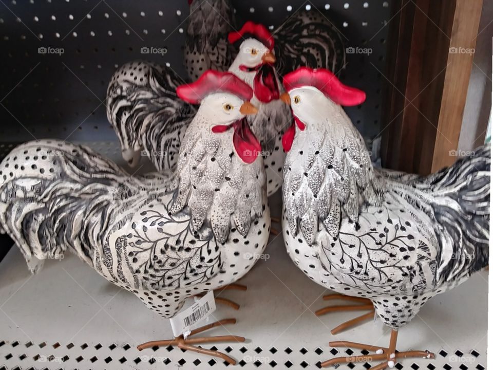 Good friends hens.