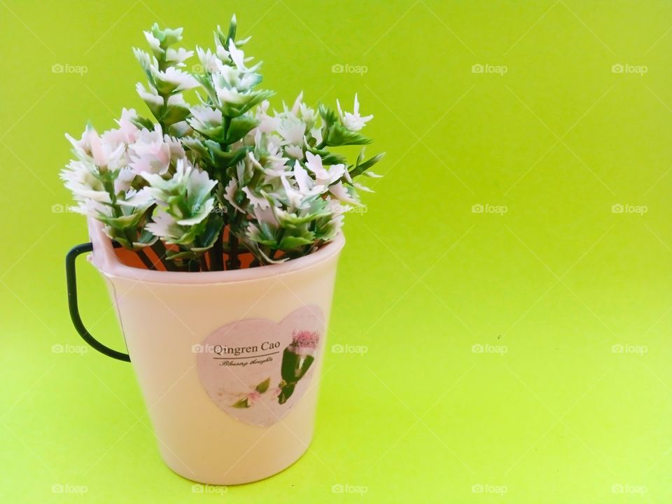 flowers in a bucket on a green background