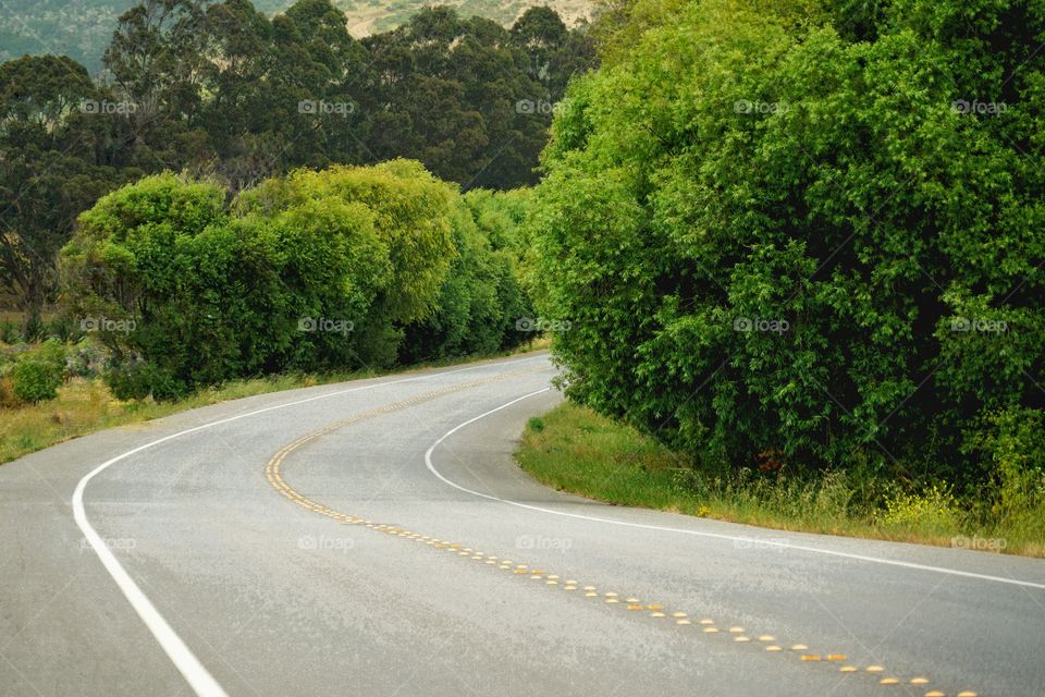 Curve On A Country Road