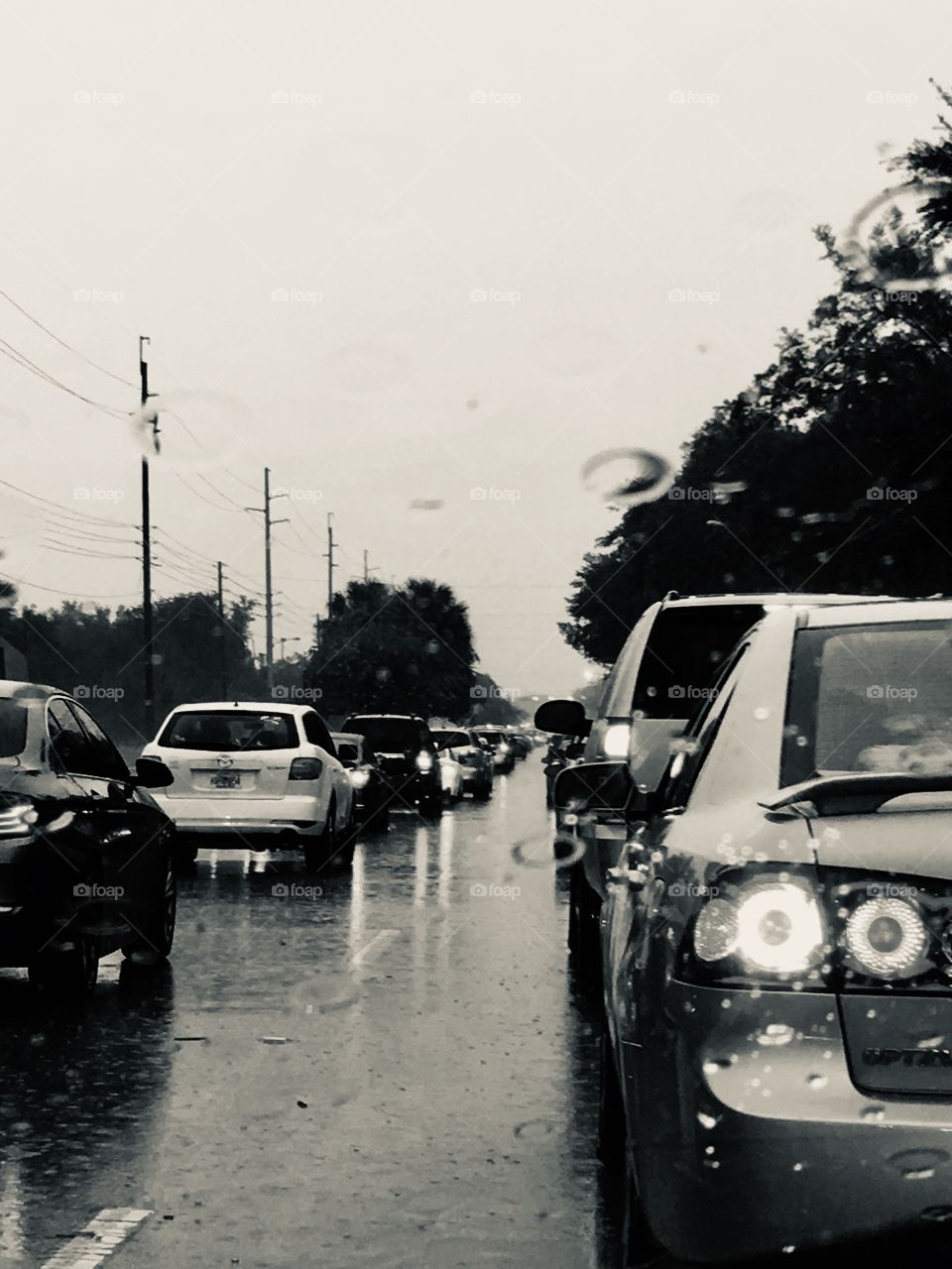 Traffic on a rainy road in black and white 