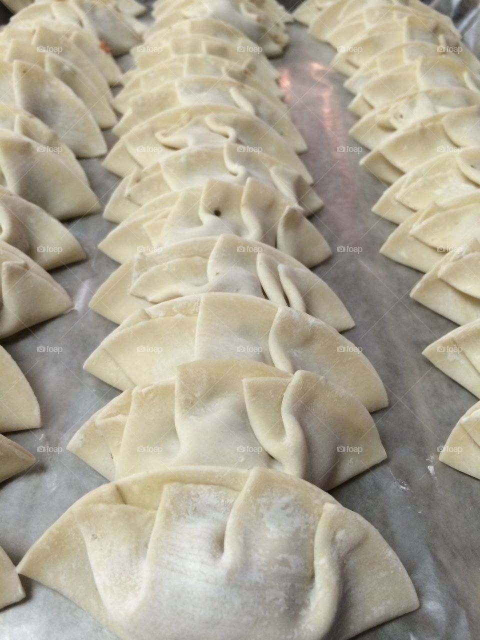 Gyoza!. Homemade gyoza ready for the freezer!