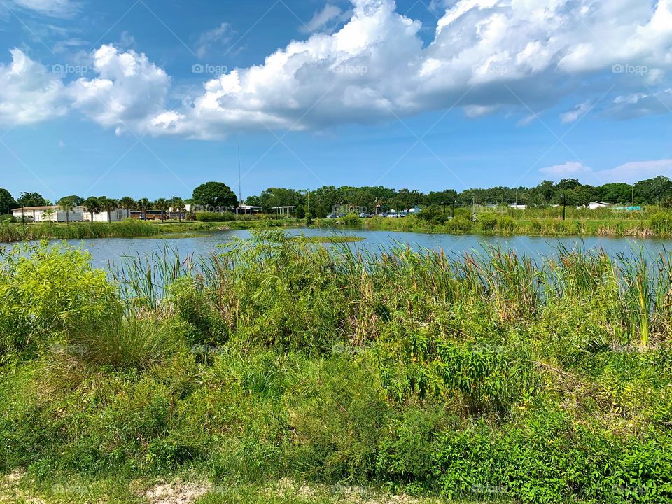 Urban Nature Water At The Draa Field Stormwater Park In The City For The Ecosystem To Provide A Water Quality Benefit To The Indian River Lagoon And To Reduce Flooding Within The Basin, In Florida.