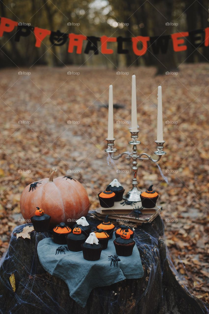 forest, night, holiday, decorations, snacks, fall, orange, black, mystery, Halloween, dark, glowing, candy, flashlight, ginger, fun, cute, fog, gloomy, burning, candle, flame, Jack, face, smile, autumn, symbol, skeleton, dark, above, scary, good, funny, background, lonely, sadness, darkness, magic, event, bat, Ghost, concept, trick, emblem, Phantom, pumpkin face, pumpkin, October, September, werewolf, mage, terrible, grim, supernatural, treat, trick or treat, horrible, wizard, Jack-lantern