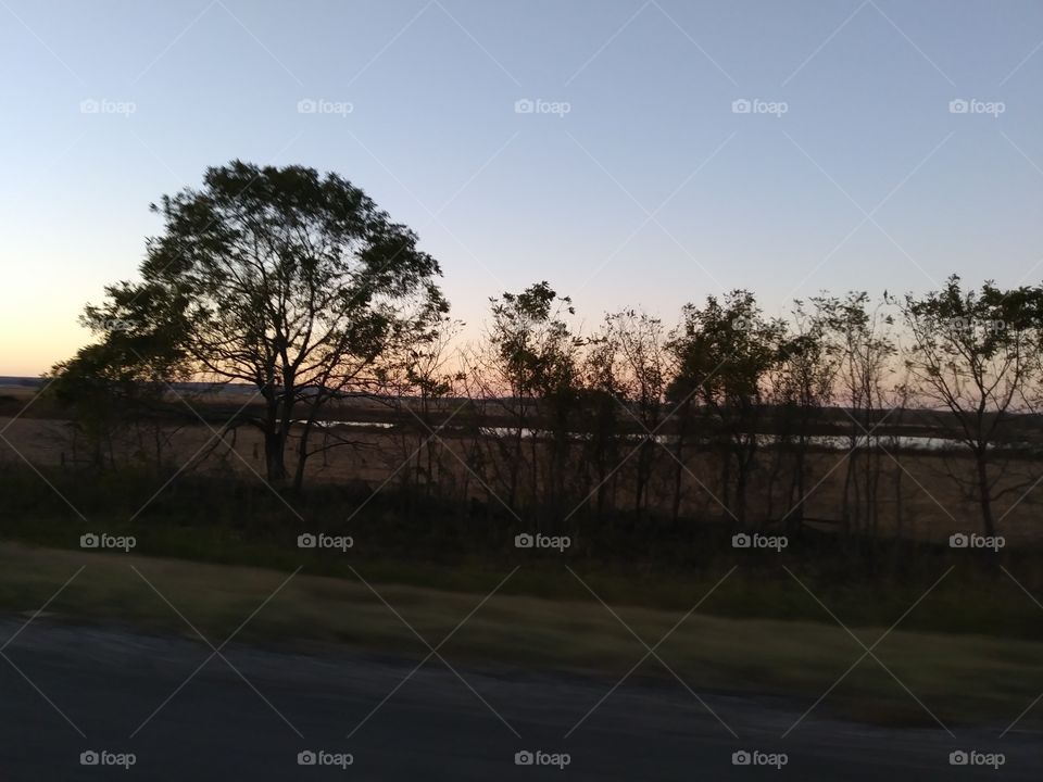 Trees at Sunset on Oklahoma Highway
