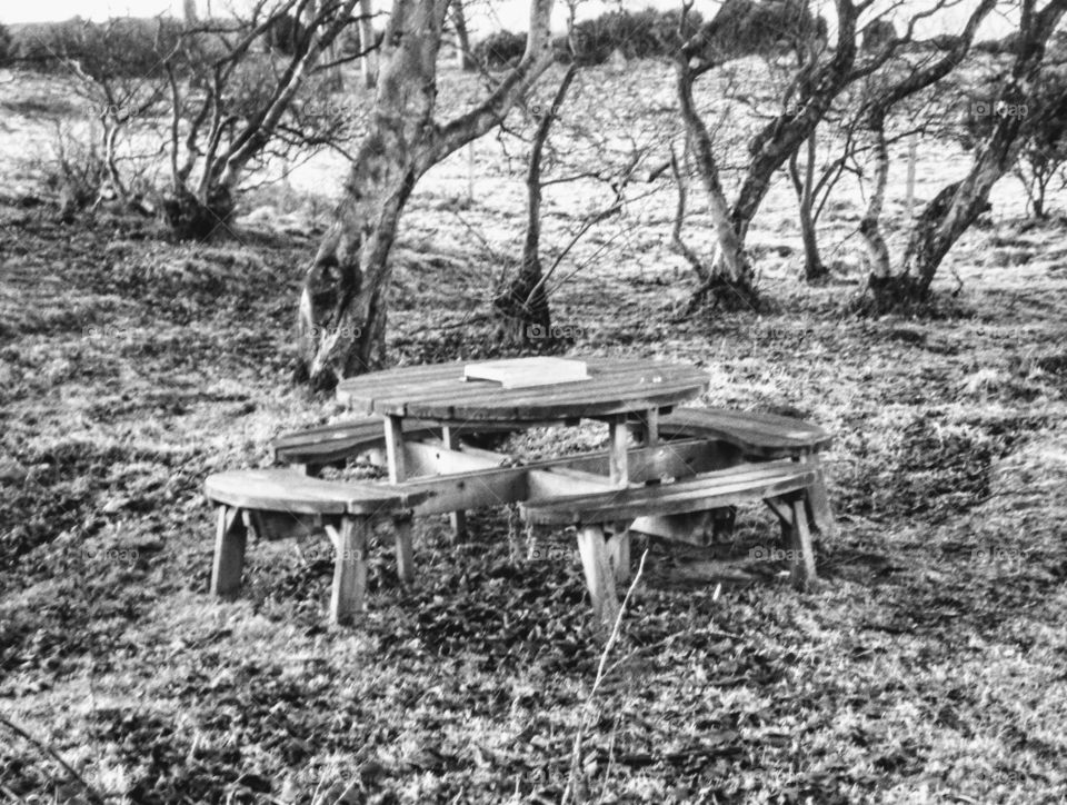 Abanded Picnic table in black and white
