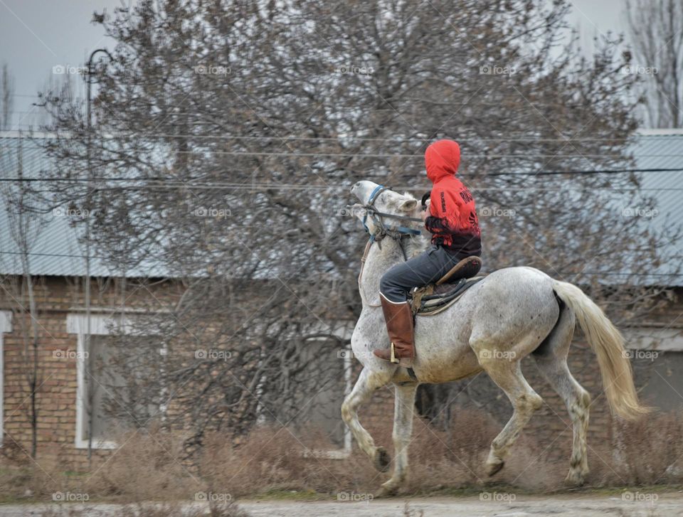 rider on a white horse in a city alley