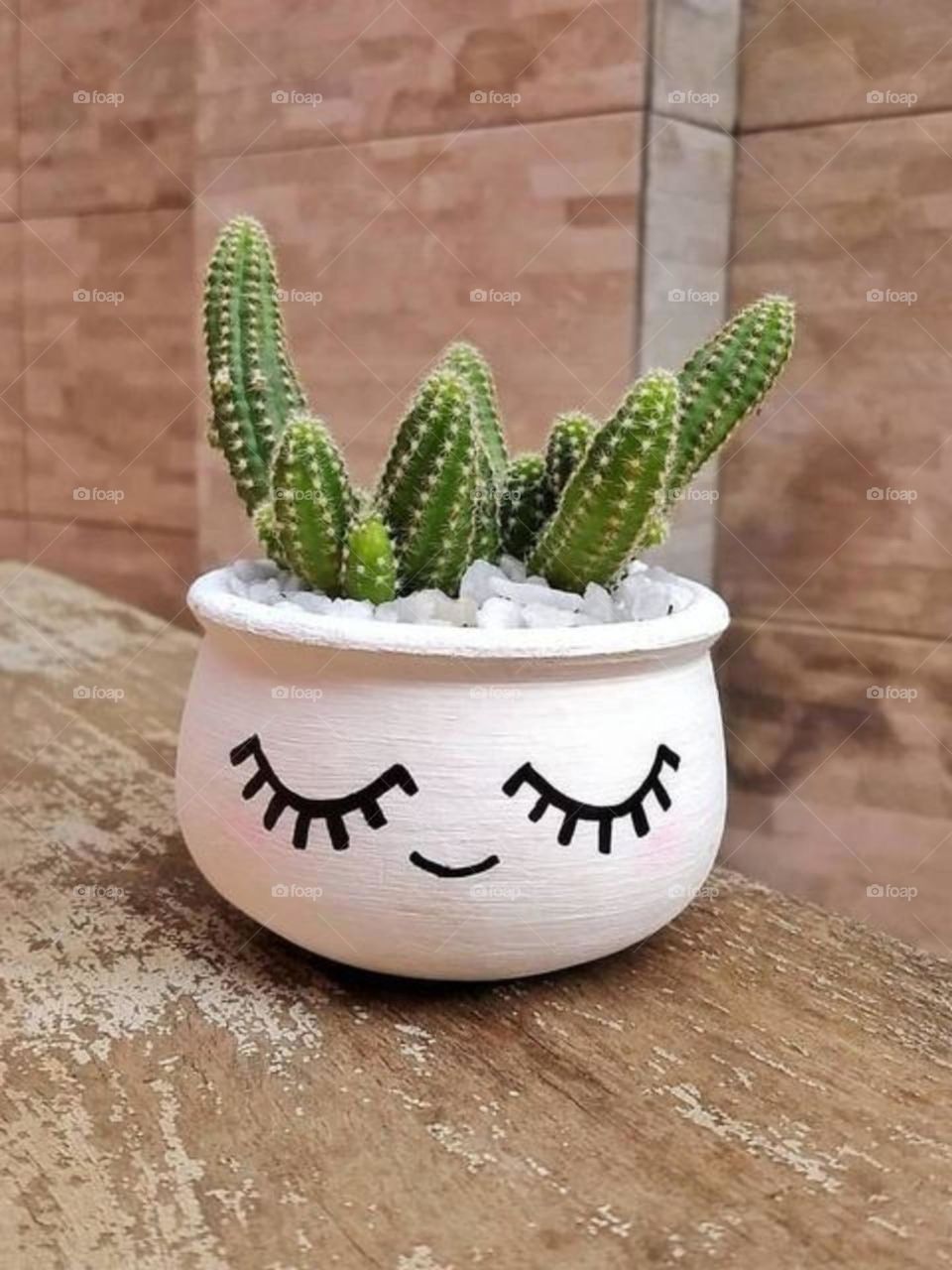 Be creative in your home plants..