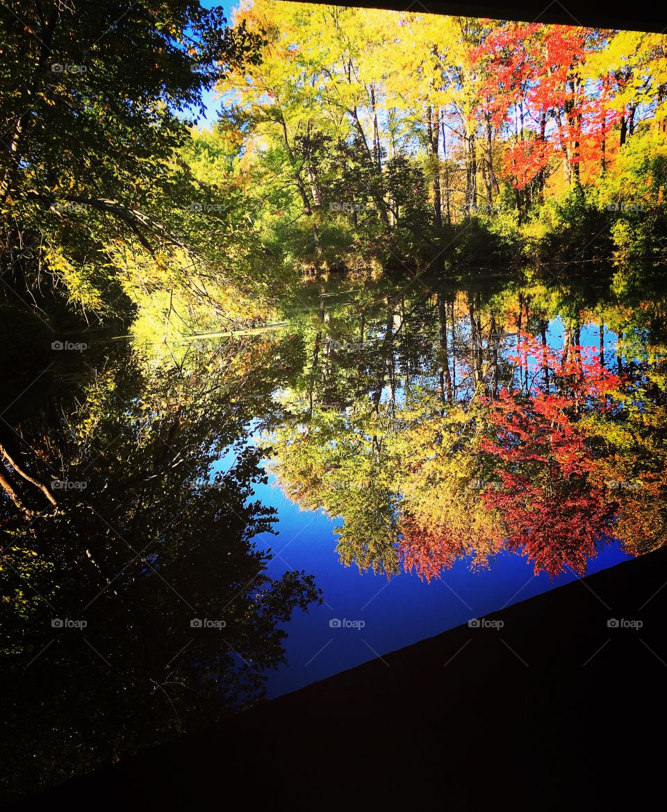 Water and leaf 