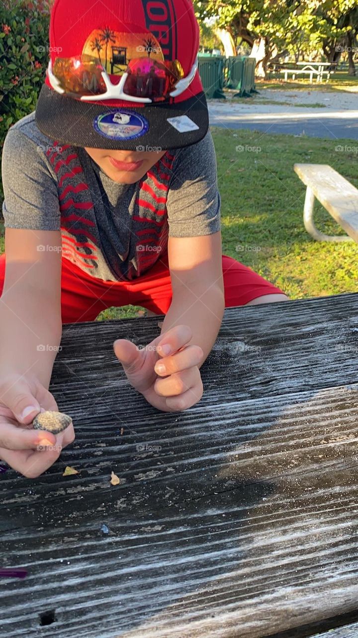 A young boy eagerly watches for the hermit crab to come out of its shell in Miami, FL. 