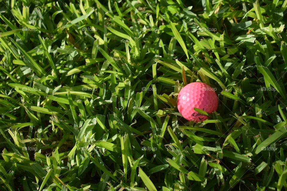 Practice makes better and one can never get enough practice in golf. Using a pretty pink golf ball really helps with the swing. 