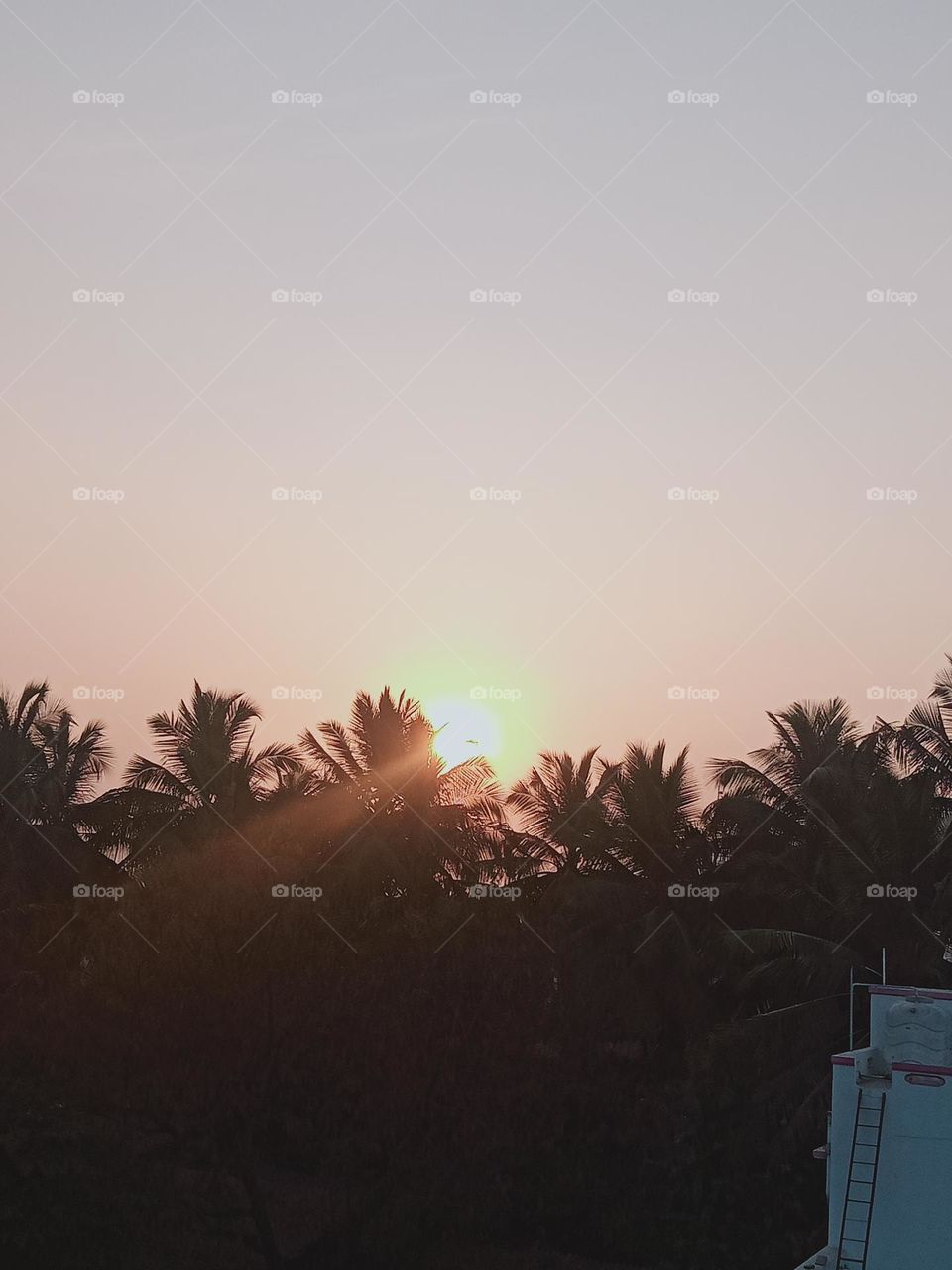 ravarma vanguvo  Beautiful sunset,  Lighting