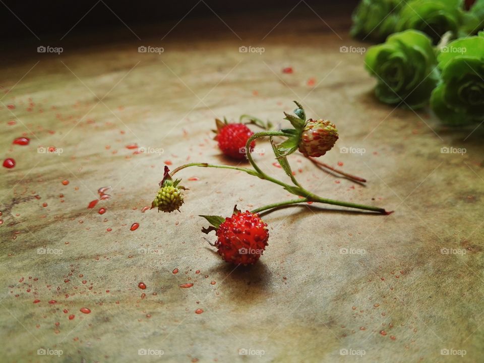 wild strawberies