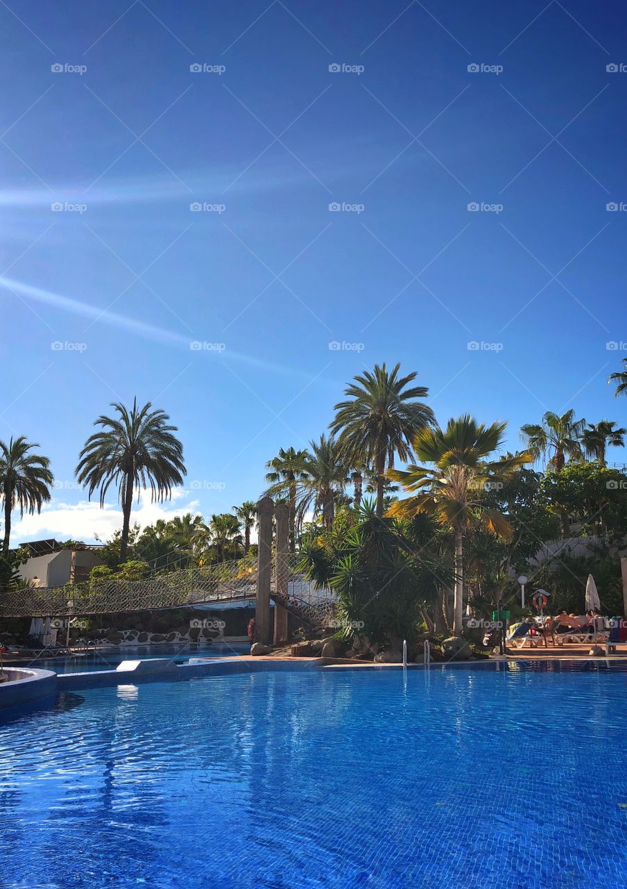 It’s a good day when palm trees are in view usually.  Sitting in sunny Tenerife,Spain you can forget your problems and absorb the fun😎