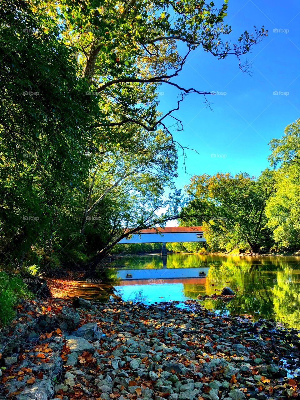 Covered bridge in Indiana 