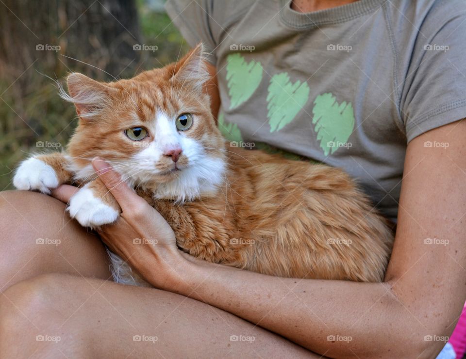 woman and ginger cat outdoor, love pet