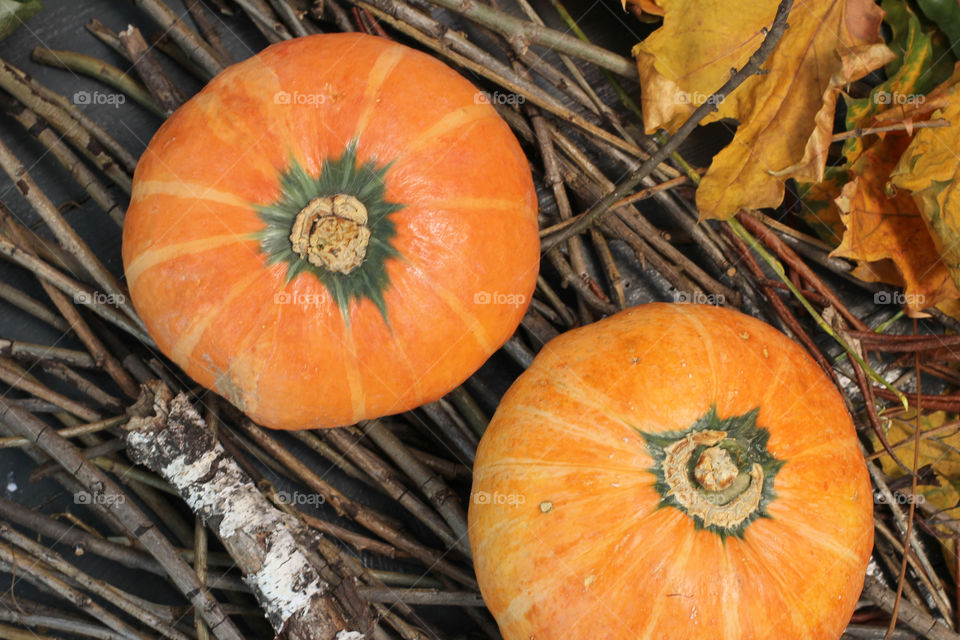 Vegetables, Halloween, pumpkin, corn, harvest, fertility, agriculture, food, cones, forest, birch branches