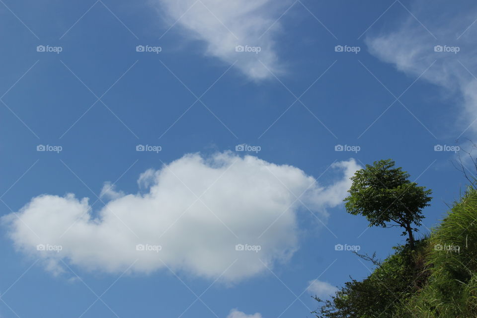 a tree on a hilltop with a background of clouds and clear sky