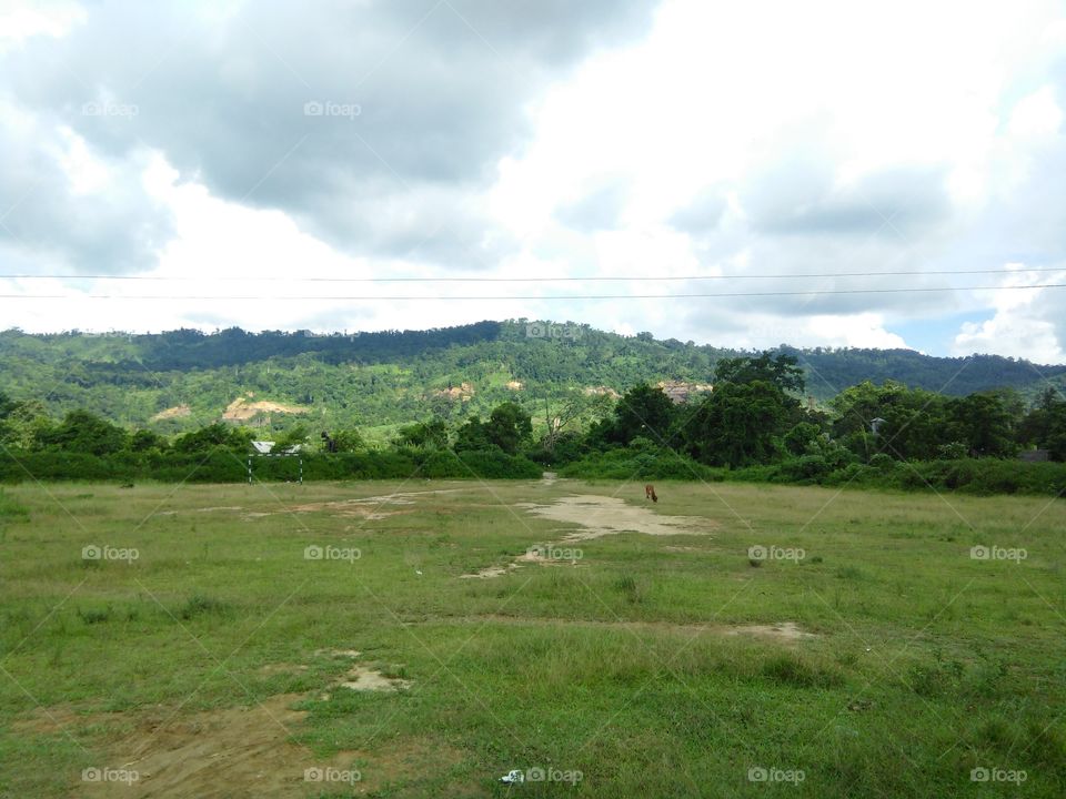 A view of hillside