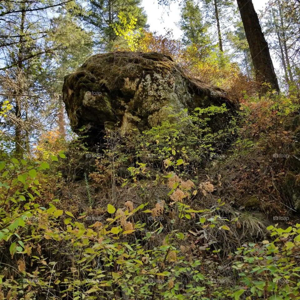 rock on a hill surrounded by autumn foliage and trees