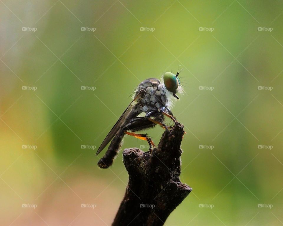 waiting for something