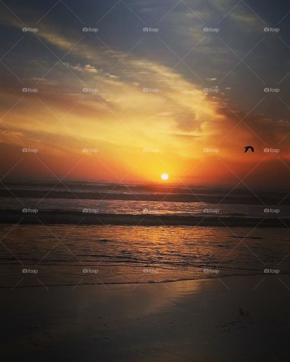 Florida sunset 
