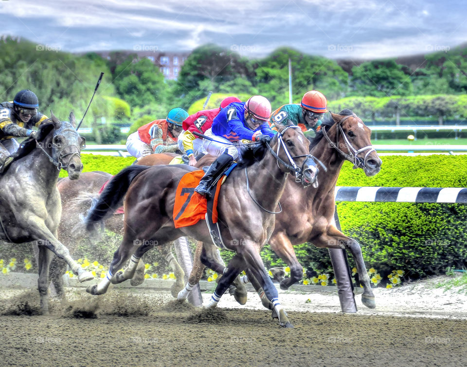zazzle. com/fleetphoto for the largest collection of Horse Racing memorabilia. Classic Salsa winning at beautiful Belmont Park with jockey Joel Rosario.