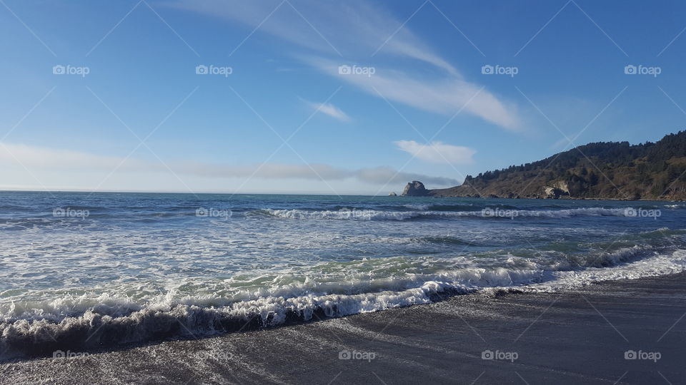 Scenic view of nature