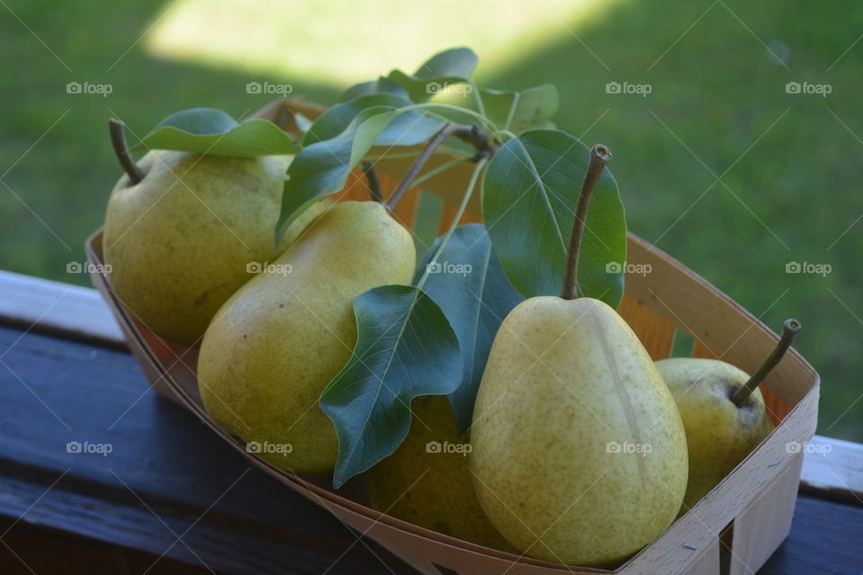 pear