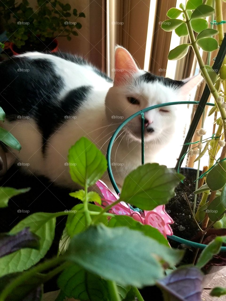 Oh ya I'll be good;)