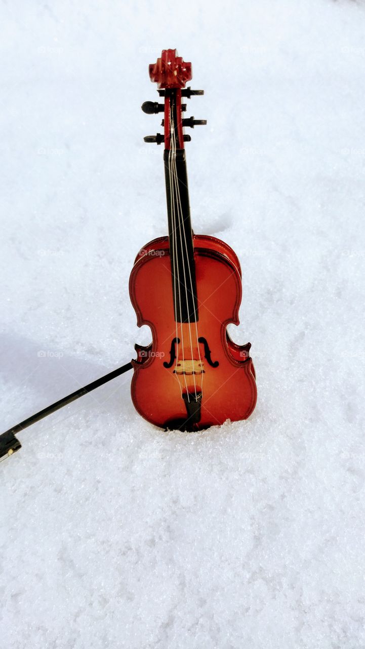 #violin#stringed instruments#music#no person