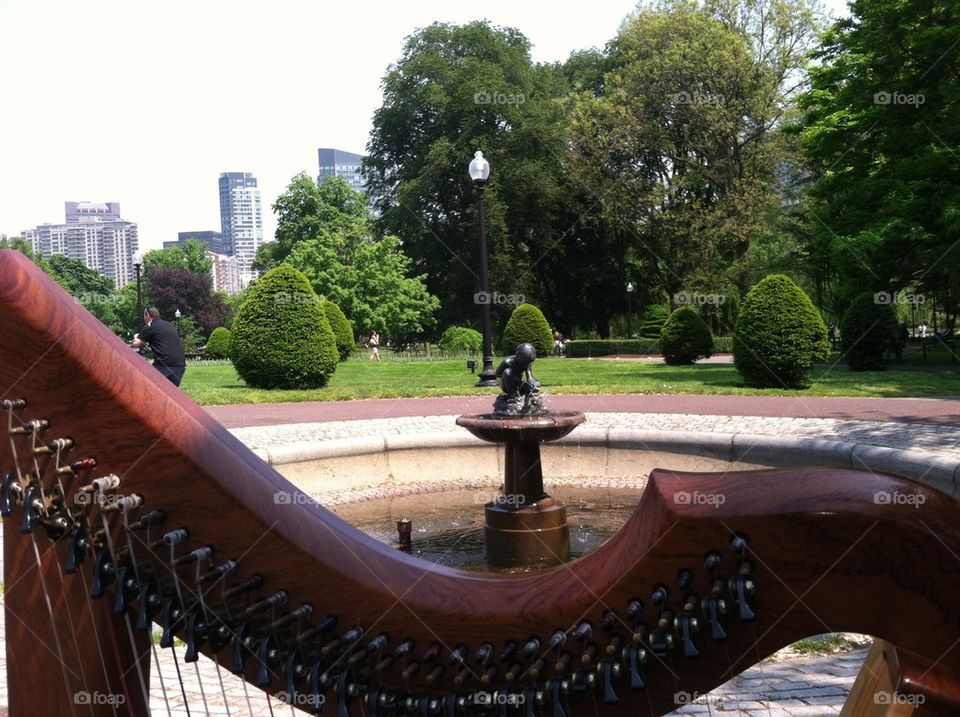 A Harpist's view of Boston