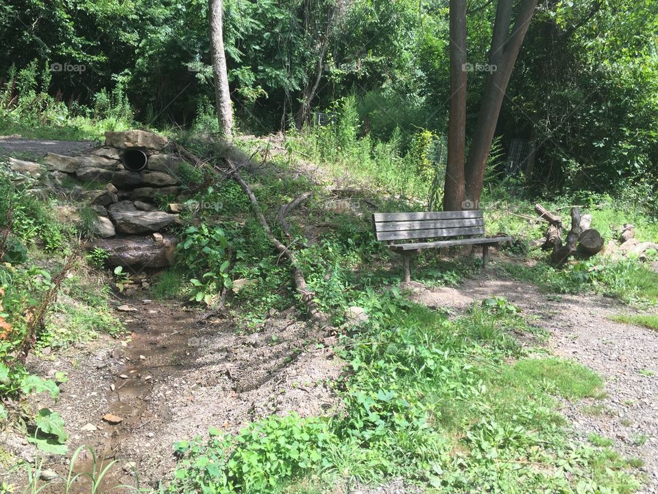Wood, Landscape, Nature, Leaf, No Person