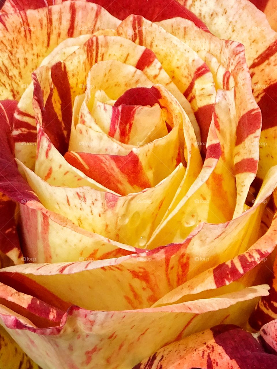 Life with colors is much better.