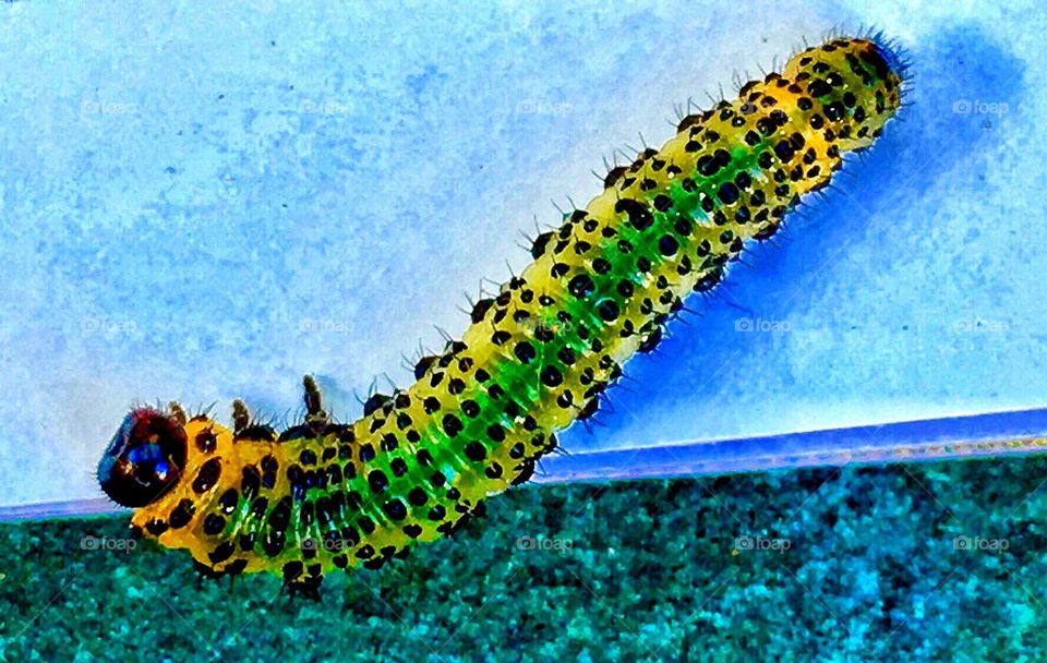 Captured with iPhone 6s Plus 