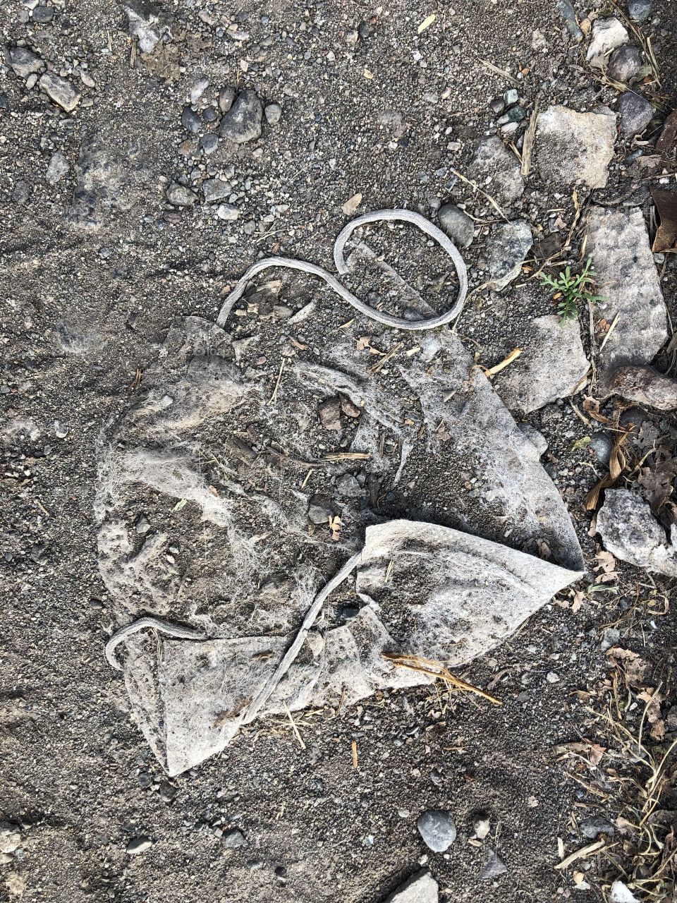 used mask discarded on the ground, pollution, garbage, covid, coronavirus, disrespect, ignorance