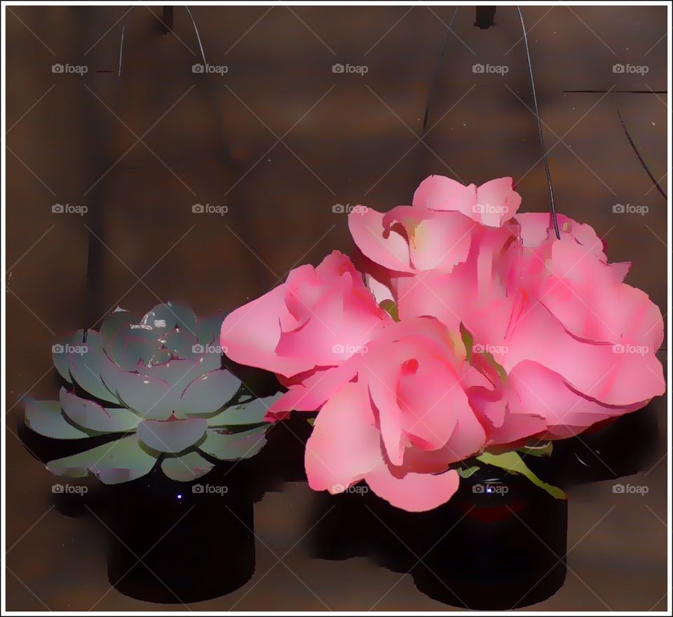 3D effect beautiful hanging flowers 
