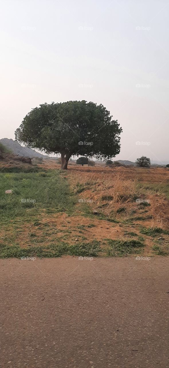 I need your support guys, I'm very, very poor, poor