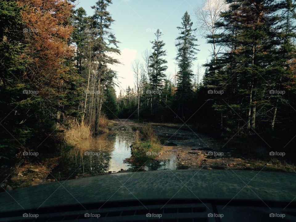 Drummond Island, Michigan 