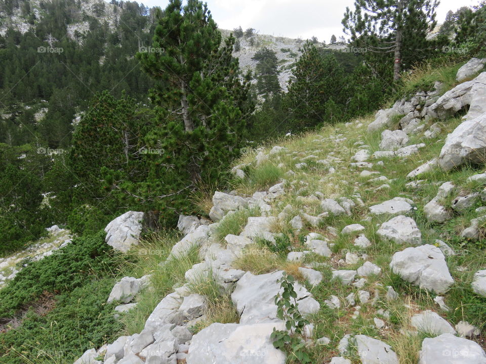 Mountain Orjen Montenegro remains of old stone hiking trail which was built by Austrohungarian army