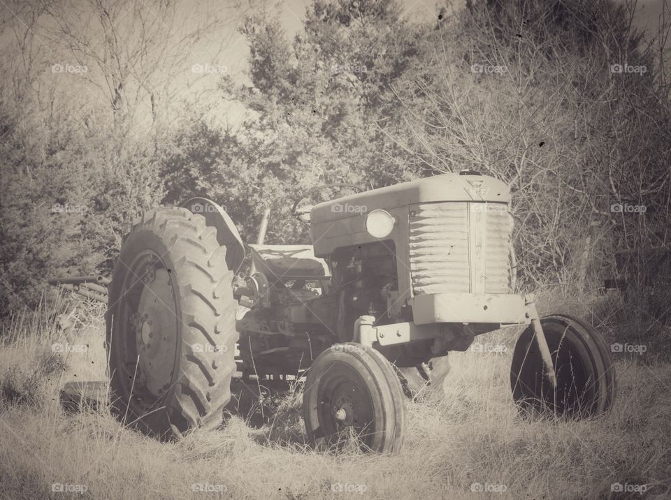Vintage style tractor photo. 1958 Massey Ferguson. 