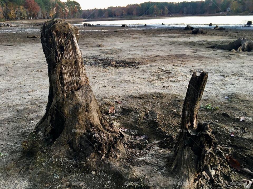 Water’s down, stumps are up