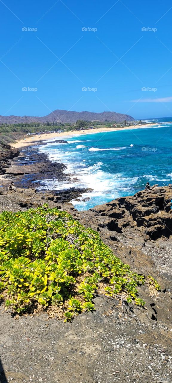 Hawaii Coast