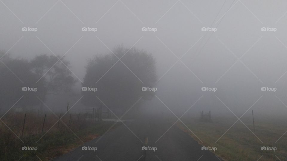 Fog, Mist, Landscape, Dawn, Smoke