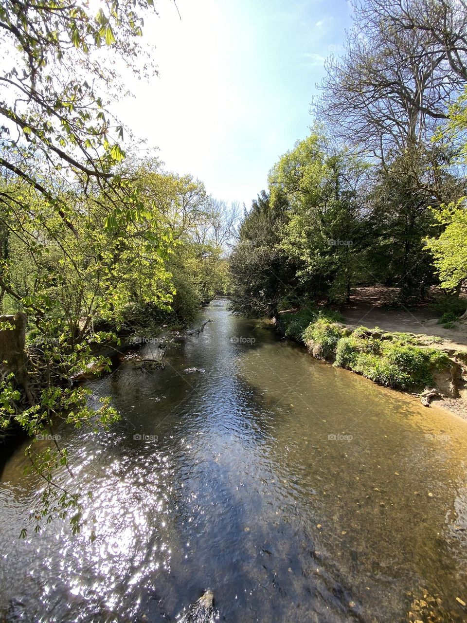 River Mole Surrey 