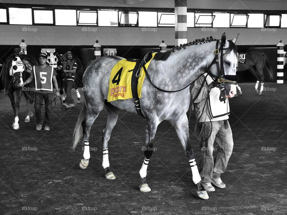 Grey by You by Zazzle.com/FLEETPHOTO