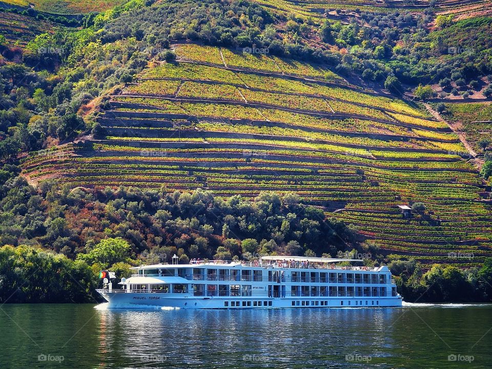 Cruising on the Douro near Pinhao