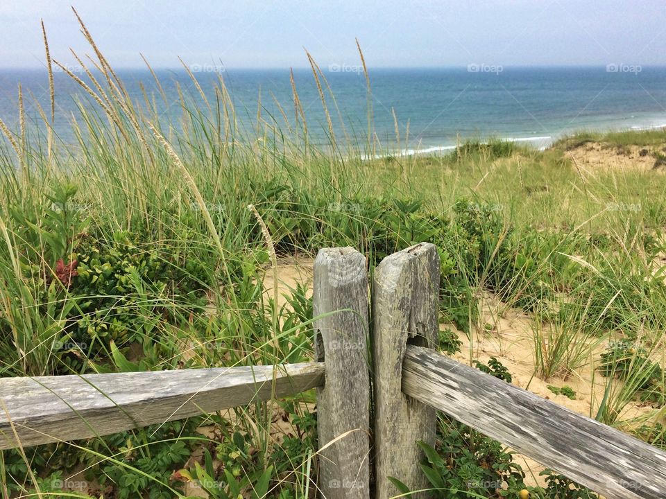 View at Marconi, Cape Cod National Seashore