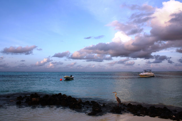 Maldives