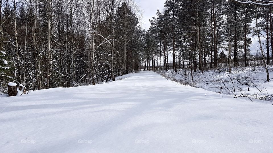 Fresh snow on road in the forest - ny orörd snö på väg i skogen 
