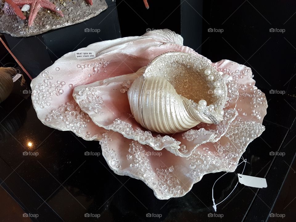 Seashell